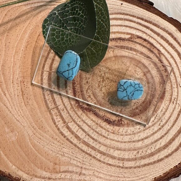 Turquoise Howlite Stud Earrings - Picture 1 of 3